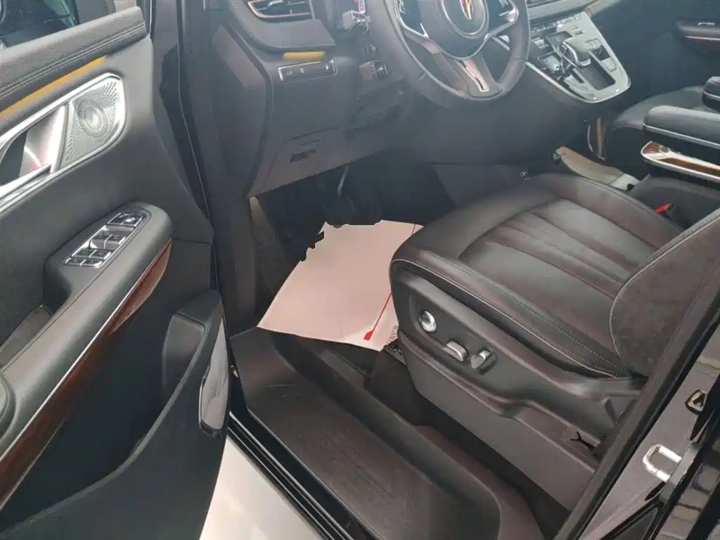 Hongqi HQ9 PHEV 2024 Model 2.0T AWD Luxury Edition фото 12
