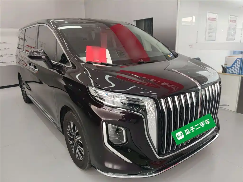 Hongqi HQ9 PHEV 2024 Model 2.0T AWD Luxury Edition фото 22