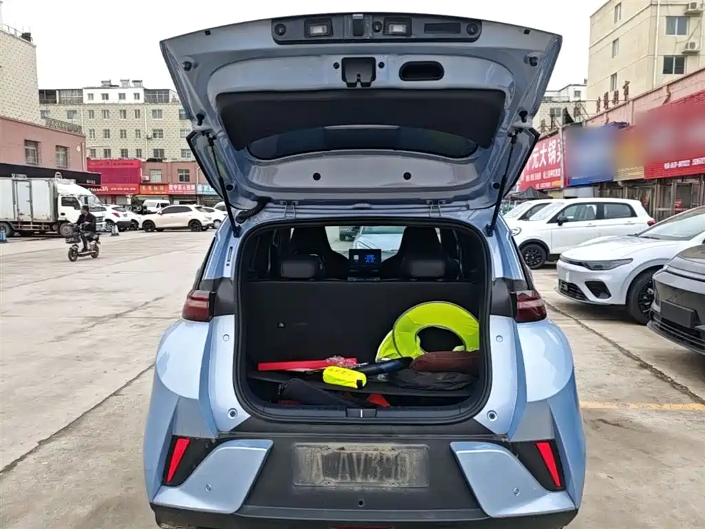BYD Seagull 2025 Smart Drive Edition 305km Vitality Version фото 19