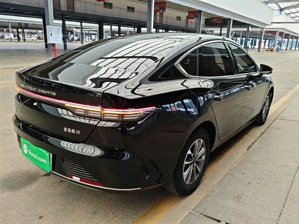 BYD Destroyer 05 2024 Glory Edition DM-i 55KM Luxury фото 7