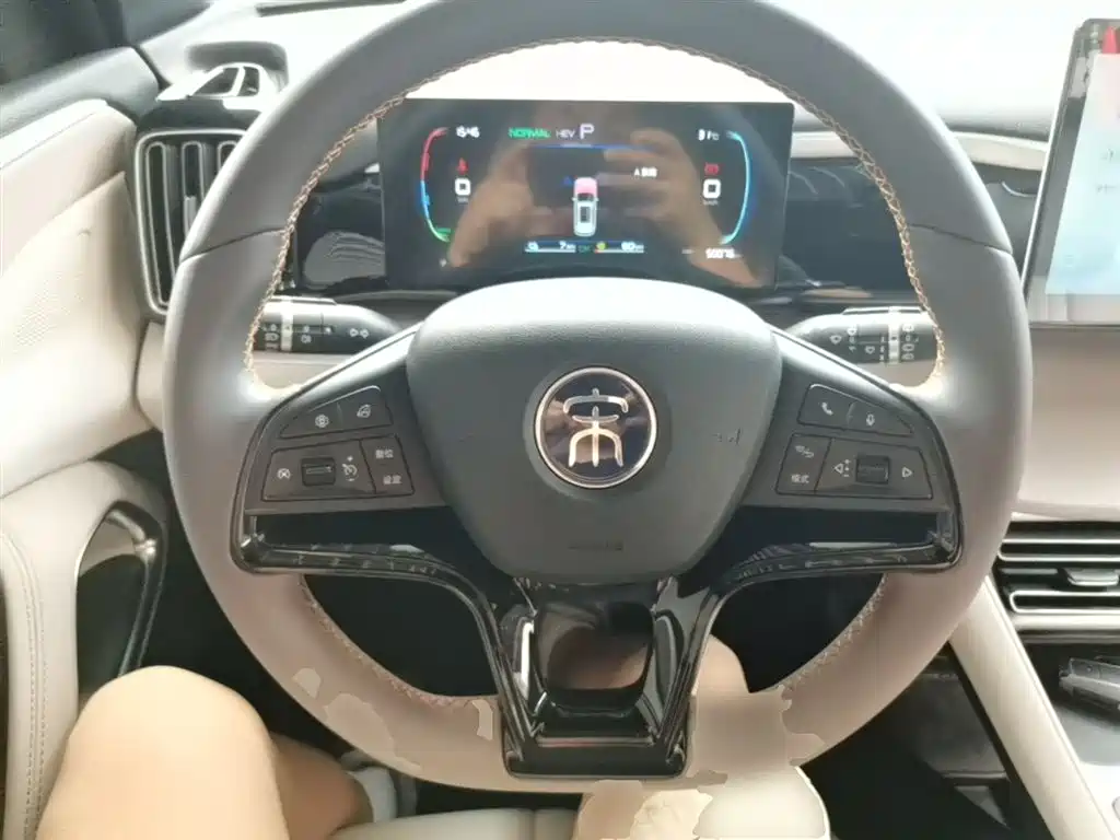 BYD Song Pro New Energy 2024 Glory Edition DM-i 71KM Leading фото 11