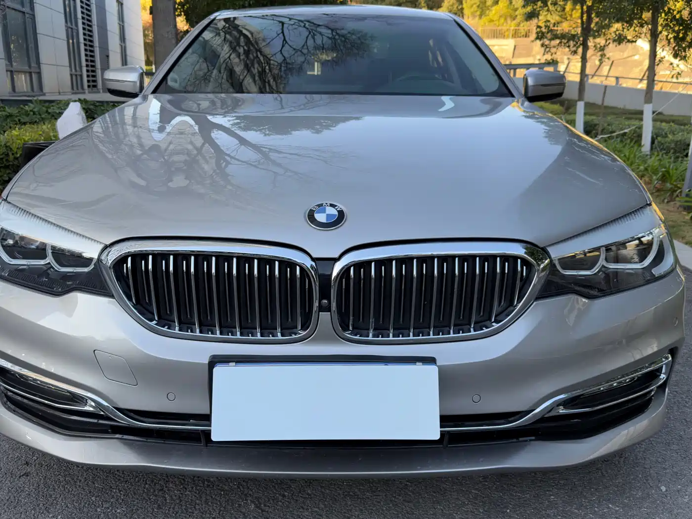 BMW 5 Series 2018 Facelift 530Li Leading Luxury Package фото 18