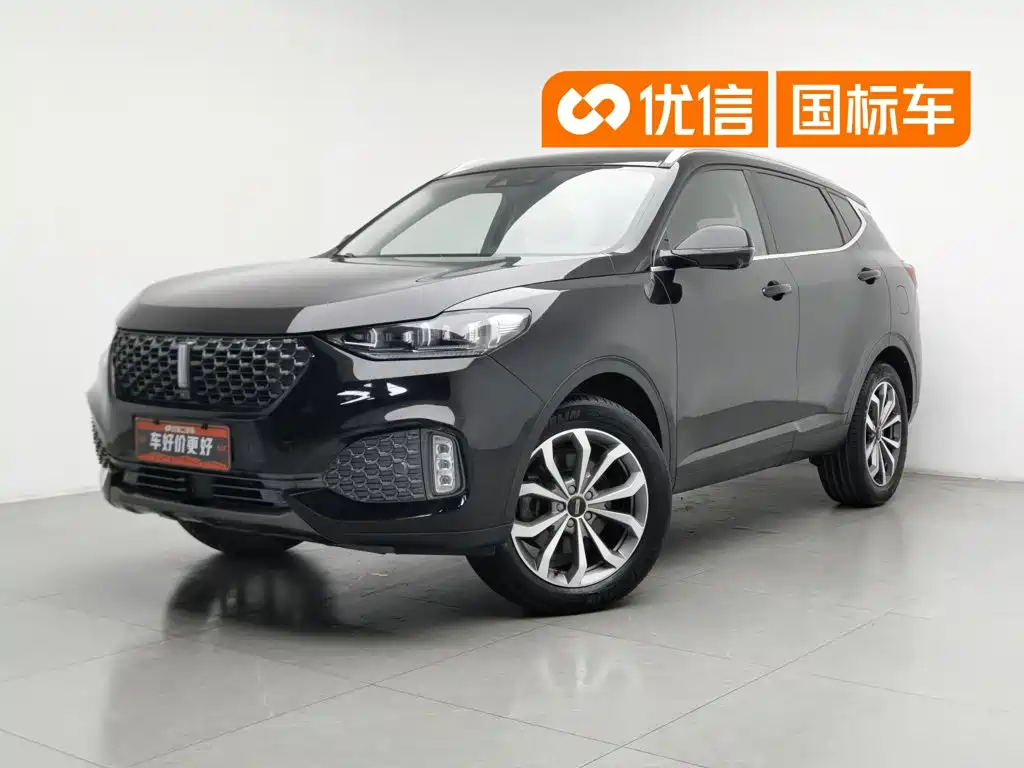 WEY VV6 2020 2020 2.0T 2WD Smart Protection+