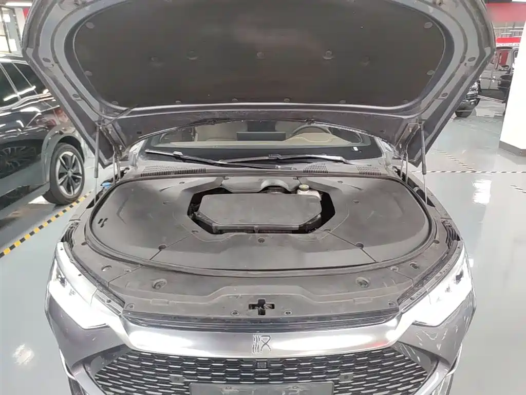 BYD Han 2020 DM AWD Performance Luxury Edition фото 20
