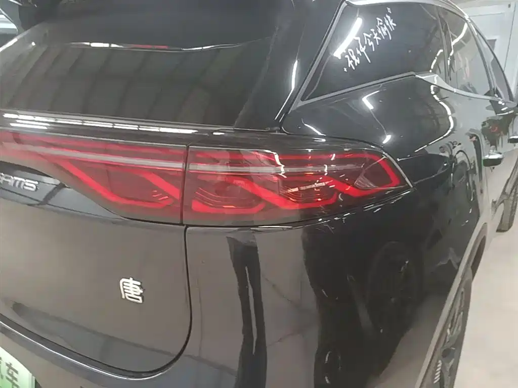 BYD Tang New Energy 2024 EV Glory Edition 730KM Premium фото 8
