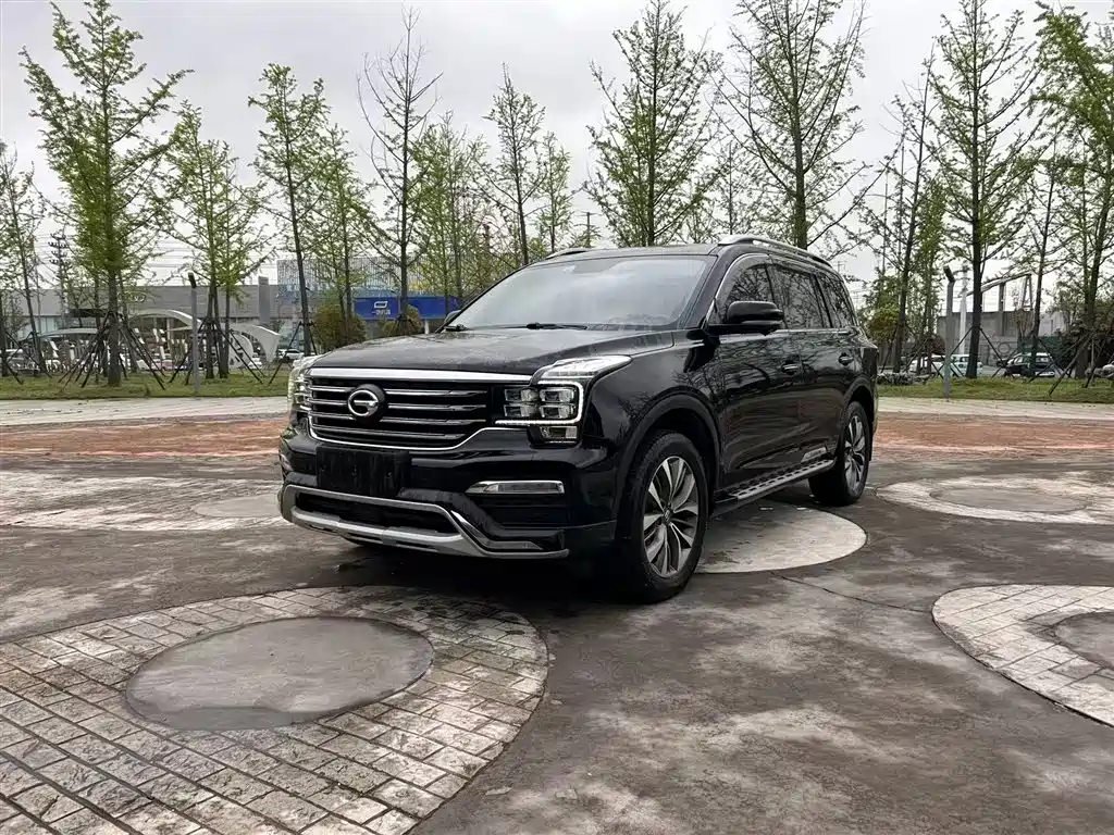 GAC Trumpchi Trumpchi GS8 2017 320T 2WD Luxury Smart Connect (7-seater) фото 2