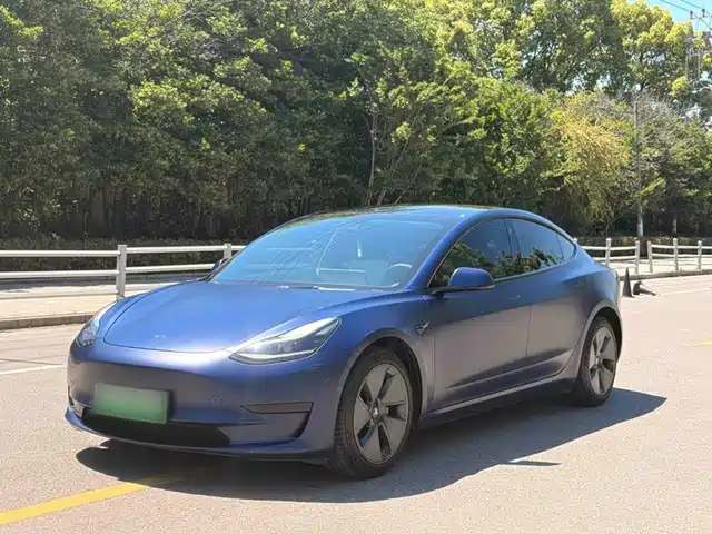 Tesla Model 3 Задний привод