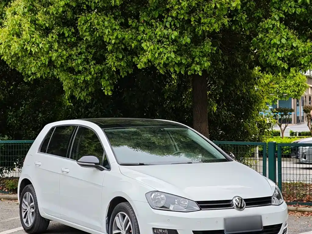 Volkswagen Golf 2017 230TSI Auto Luxury Millionth Anniversary Edition фото 24