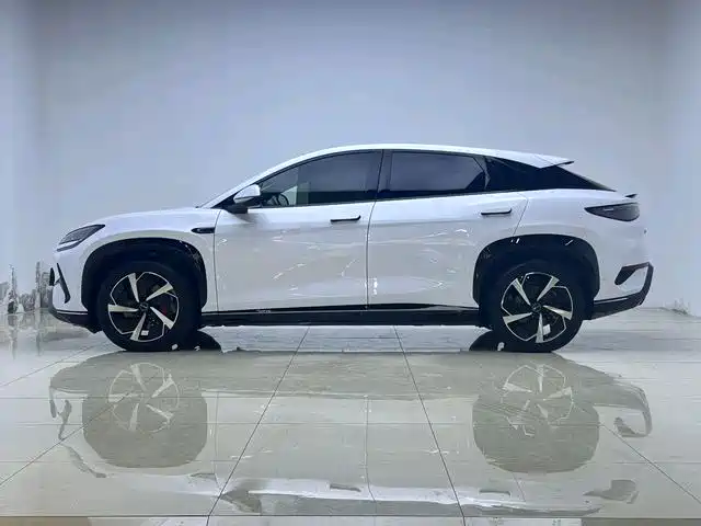 BYD Sealion 07 EV 2024 610 Long Range Edition фото 5
