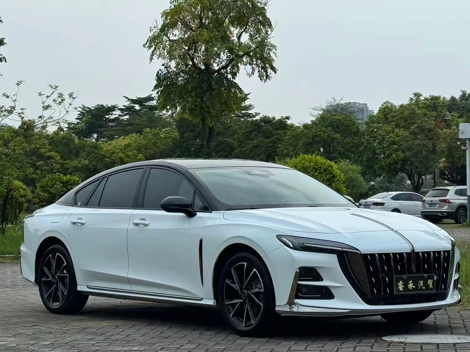 Фото 3 - Hongqi H6