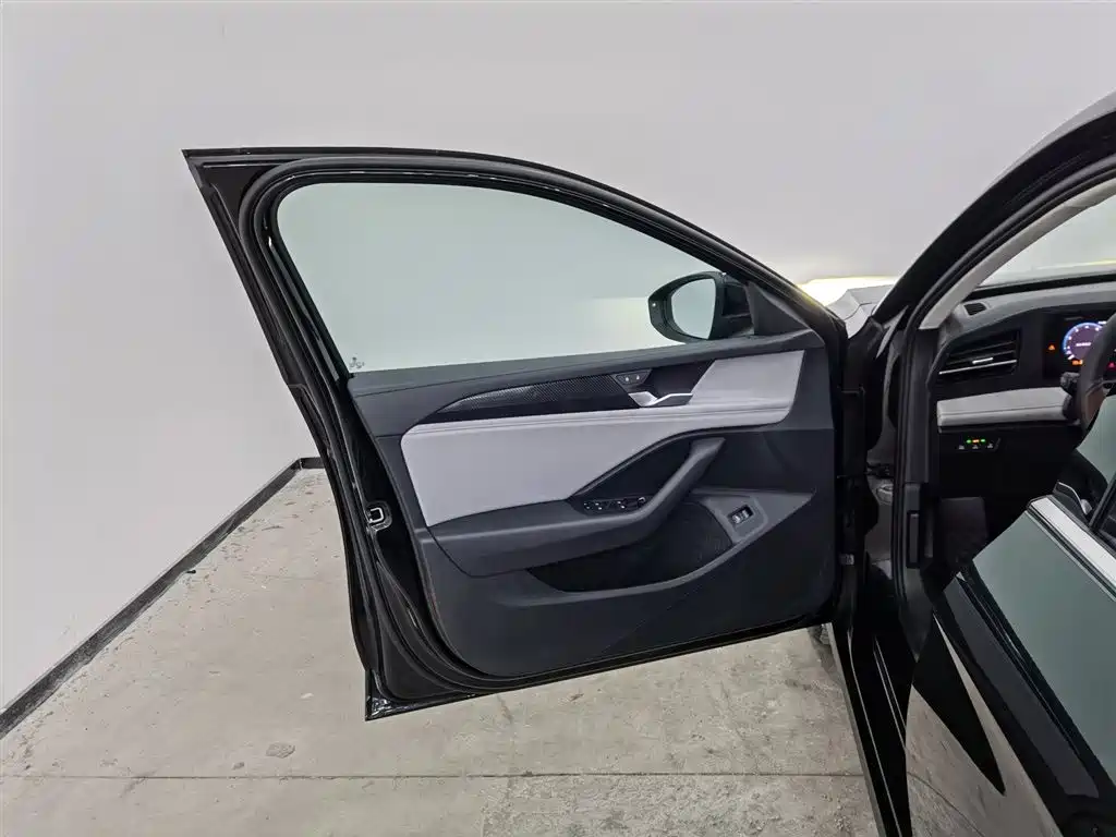 Volkswagen Magotan 2024 300TSI DSG Premium Edition фото 8