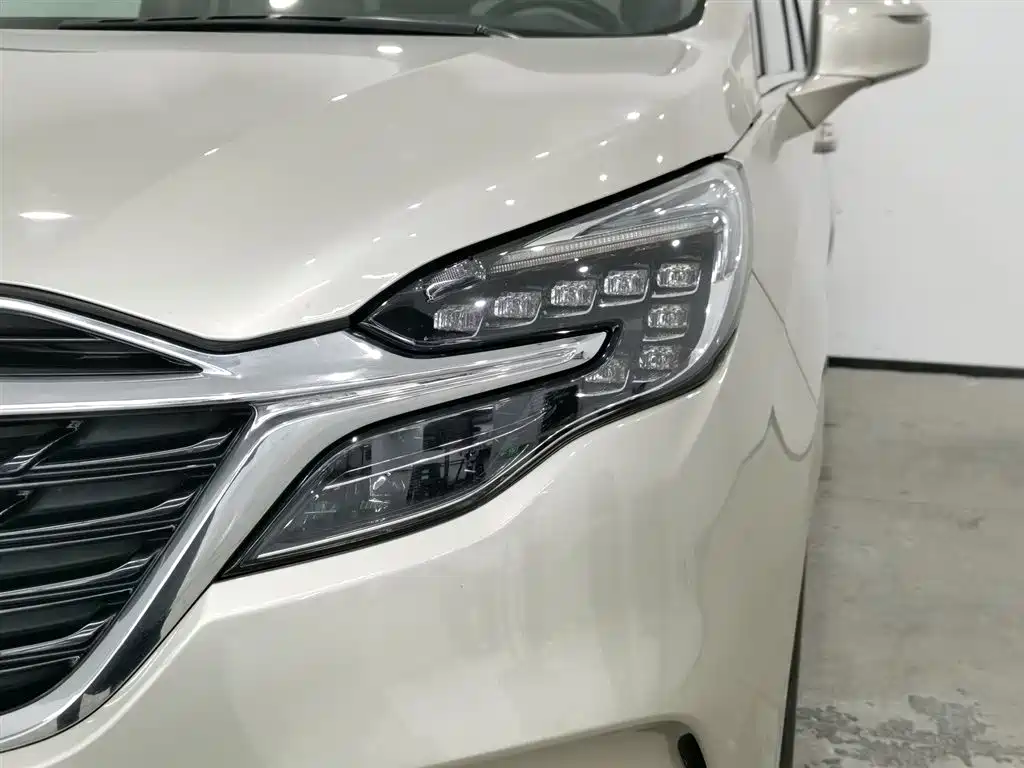 Buick GL8 2021 ES Landlord 653T Premium фото 7