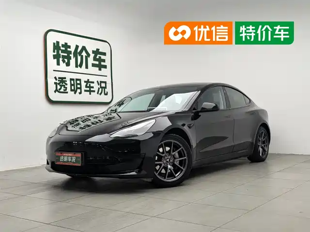 Tesla Model 3 2022 Model Rear-Wheel Drive Version
