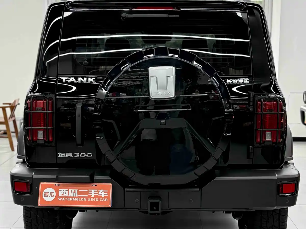 Tank 300 2023 Off-Road Edition 2.0T Conqueror фото 10