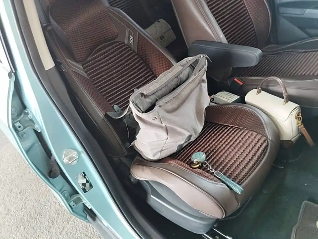 Nezha Auto Nezha V 2022 2022 Standard Range Industry Custom Edition