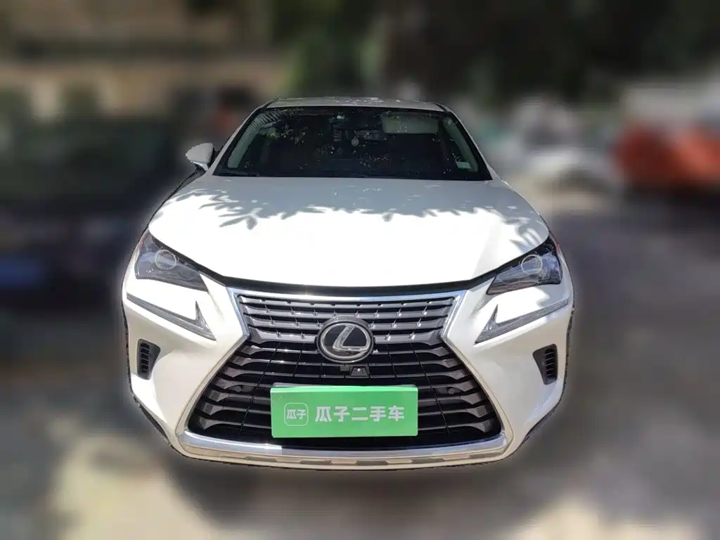Lexus NX 2018 Model 300 FWD Fengxing Edition фото 3