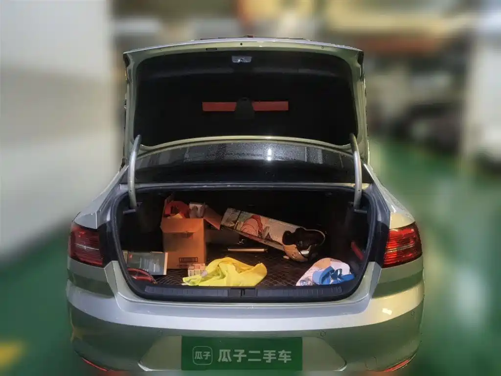 Volkswagen Magotan 2019 330TSI DSG Leading China VI фото 10