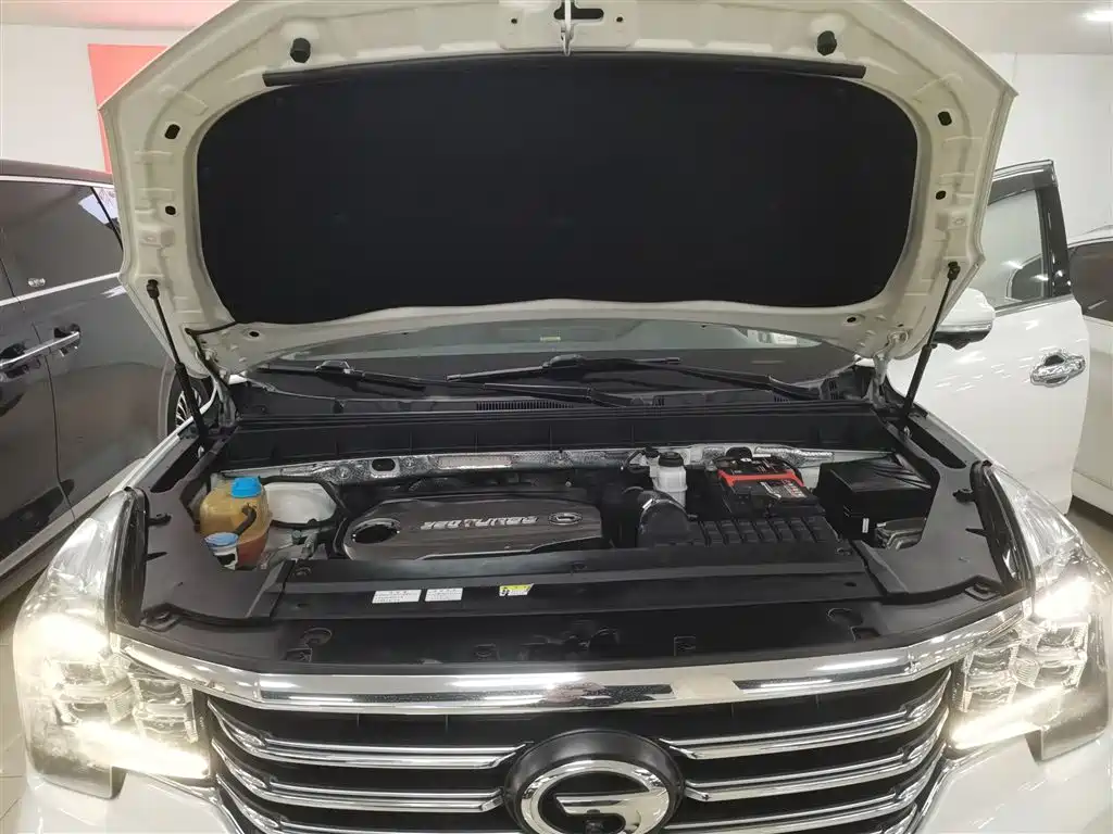 GAC Trumpchi Trumpchi GS8 2017 320T 2WD Luxury Smart Connect (7-seater) фото 19
