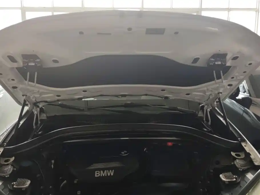 BMW X1 2018 xDrive20Li Premium Model фото 10