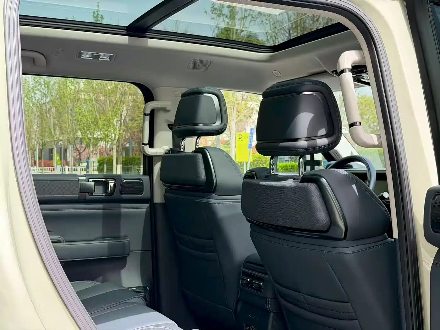 FANG CHENG BAO LEOPARD 5