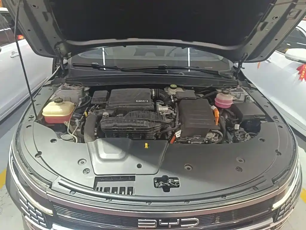 BYD Destroyer 05 2023 2023 Champion Edition DM-i 55KM Luxury