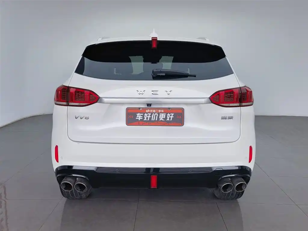 WEI PAI WEI BRAND VV6