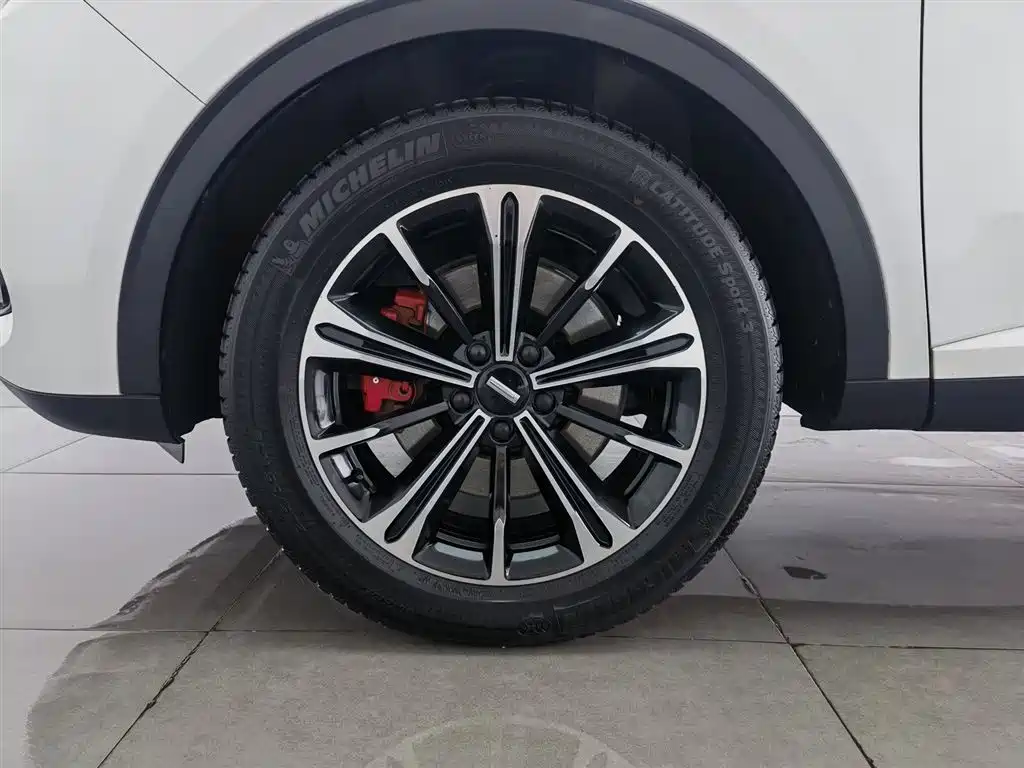 WEI PAI WEI BRAND VV6