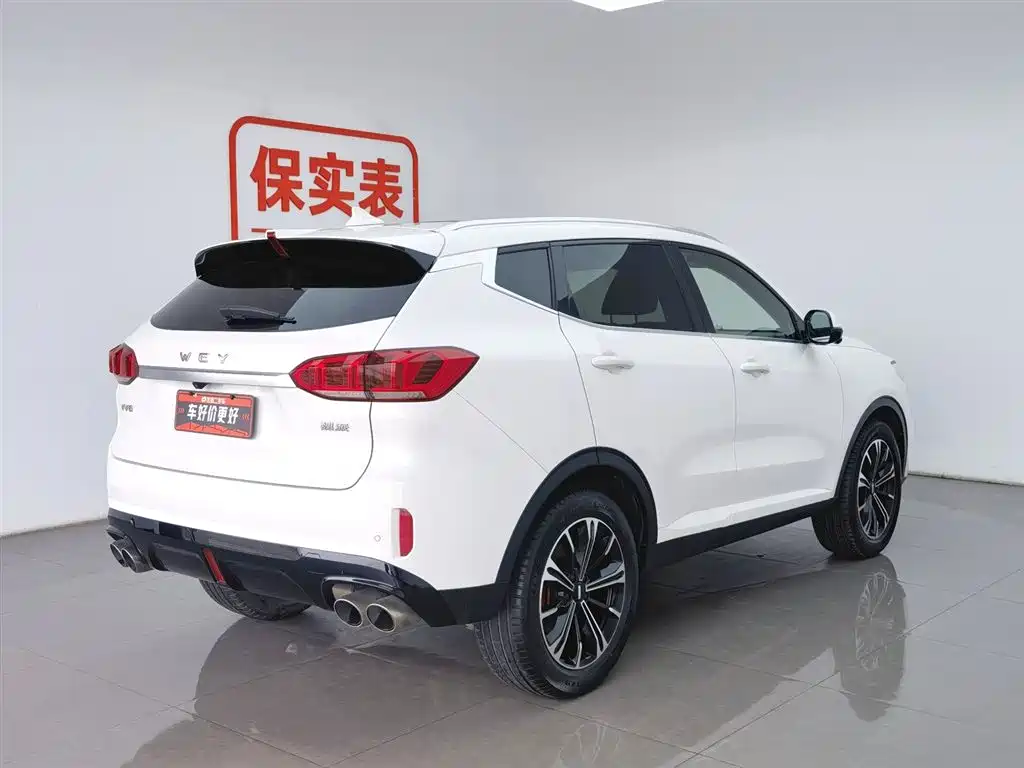 WEI PAI WEI BRAND VV6