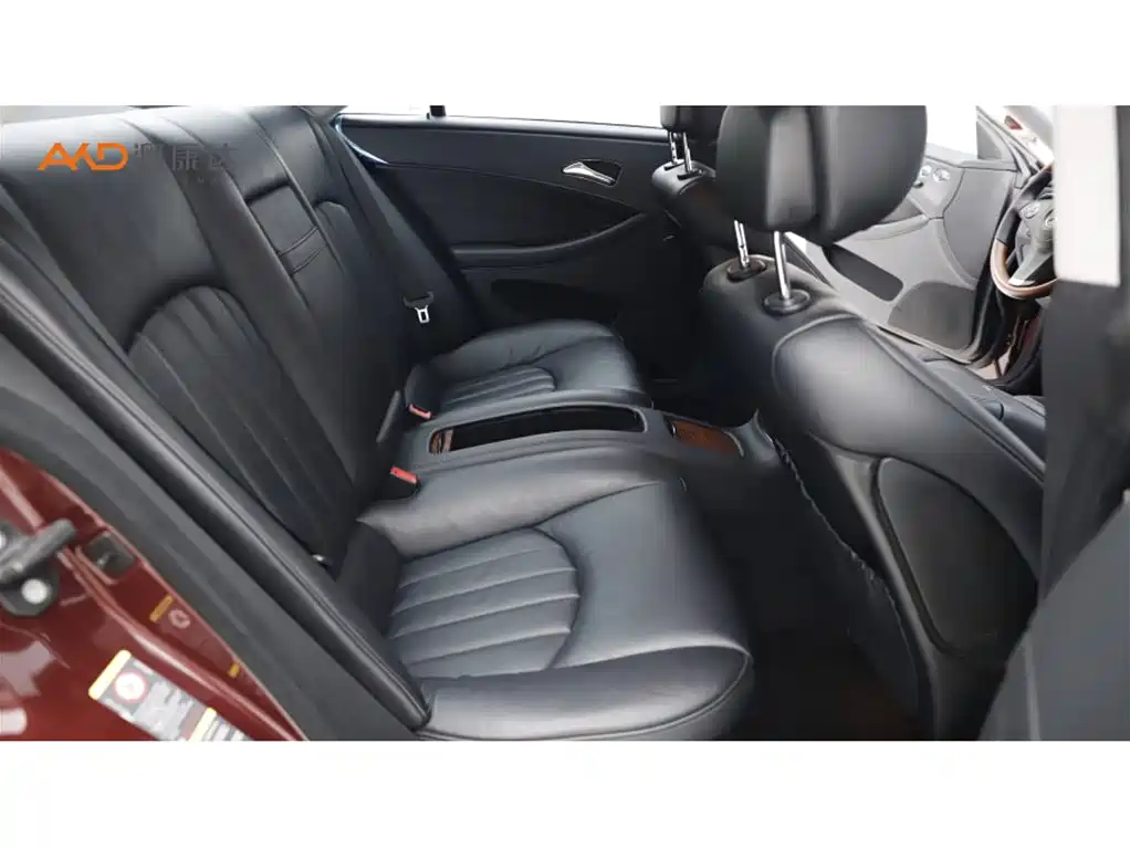 Mercedes-Benz CLS 2009 CLS 300 фото 8