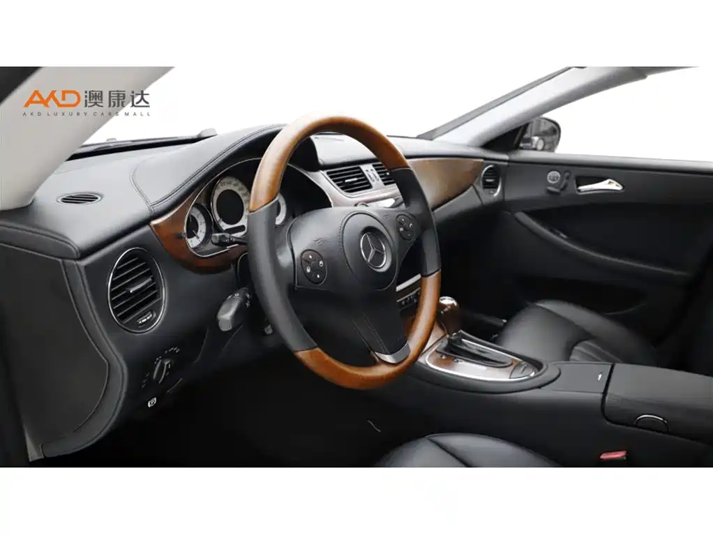 Mercedes-Benz CLS 2009 CLS 300 фото 6