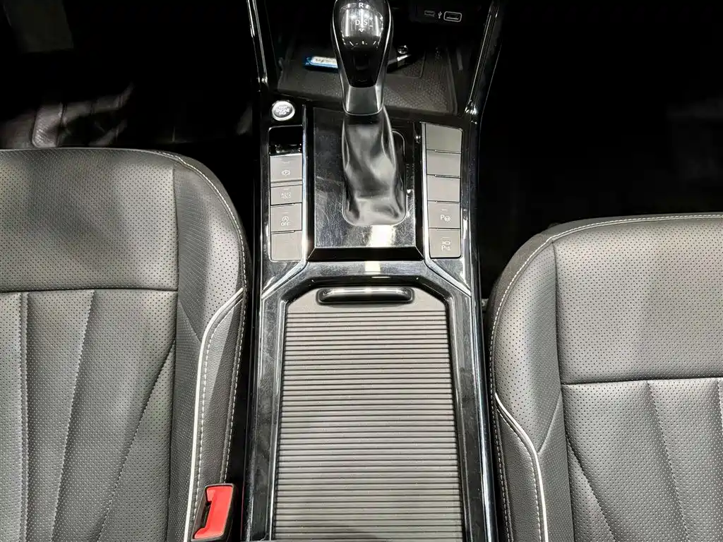 Volkswagen Passat 2024 380TSI Luxury фото 21