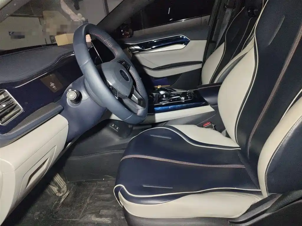 BYD Qin PLUS 2021 DM-i 55KM Flagship фото 12