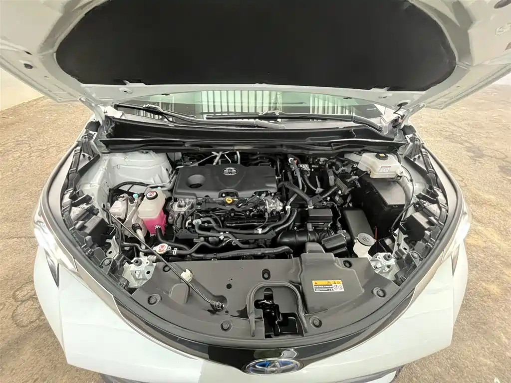 Toyota Sienna 2021 2.5L Hybrid Luxury Edition фото 9