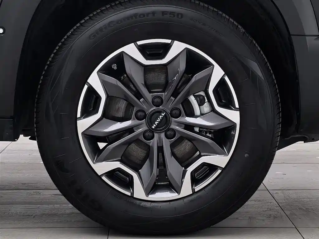 Haval Big Dog 2024 2.0T DCT Chinese Rural Dog Edition фото 17