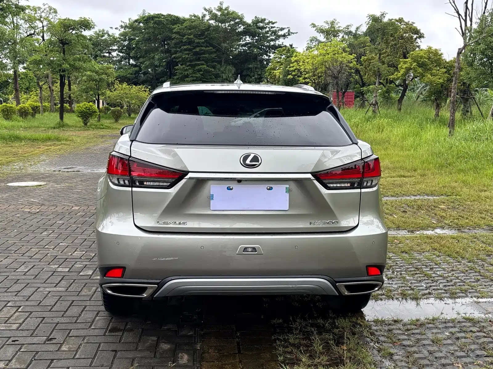Фото 5 - Lexus RX