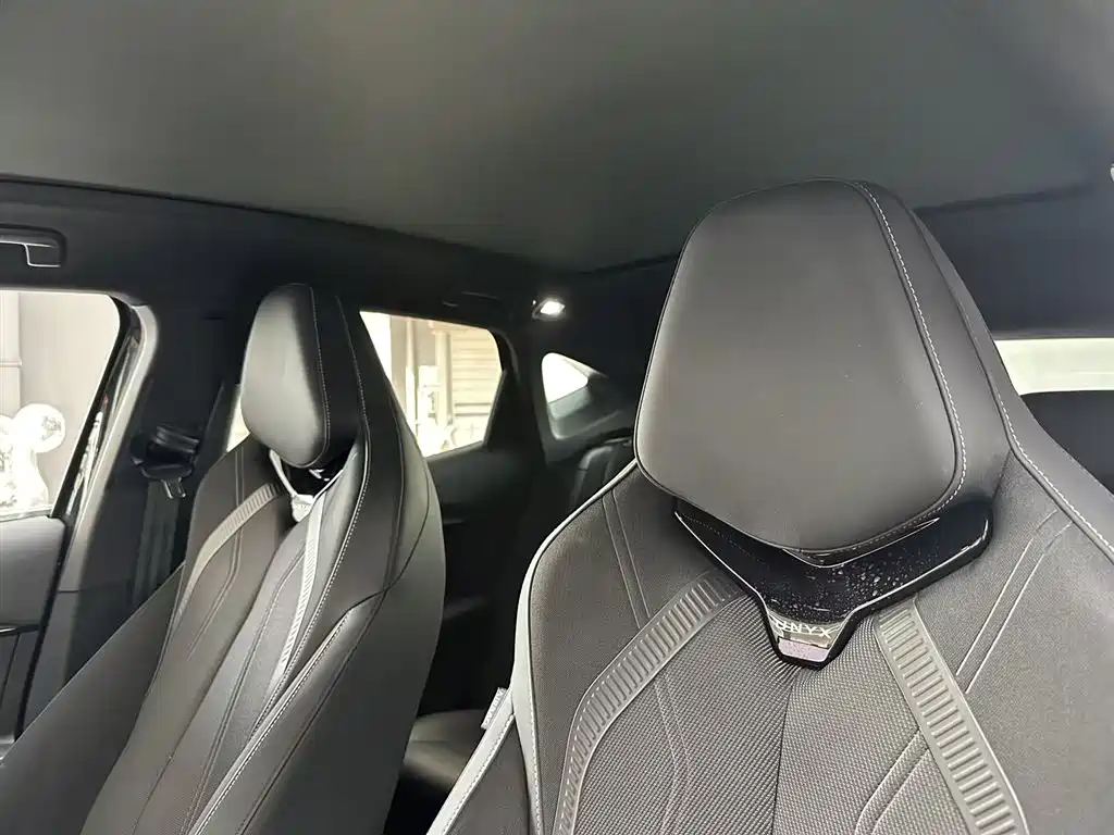 VOLKSWAGEN WITH THE CROWD 06