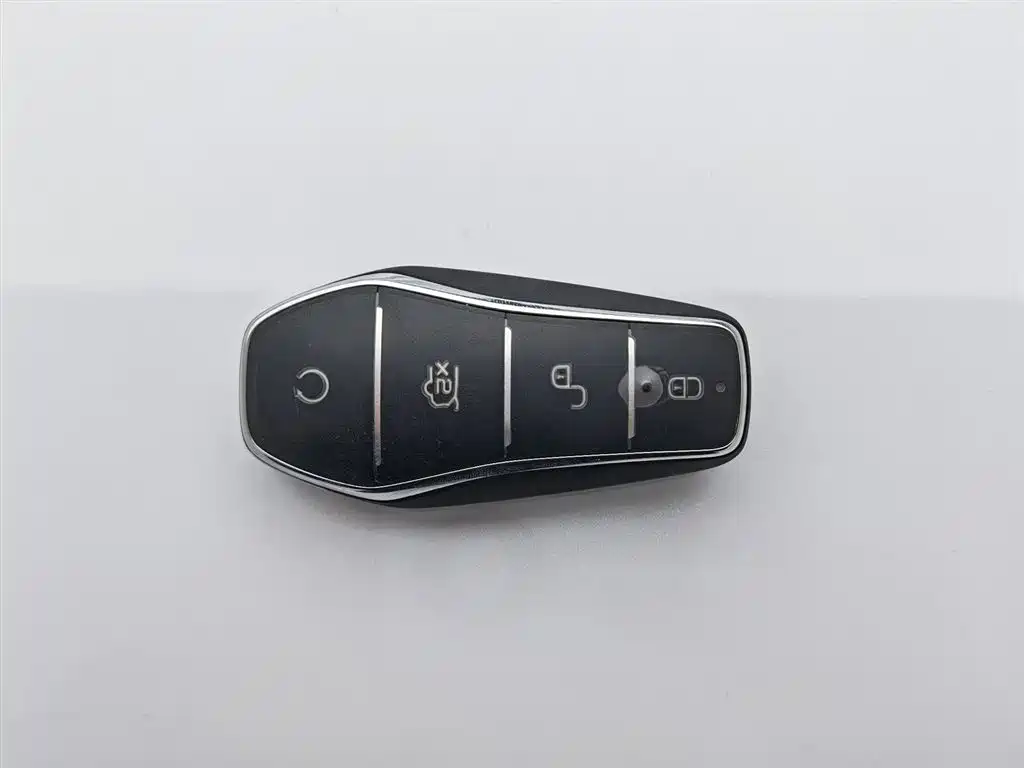 BYD Tang New Energy 2023 Model DM-i Champion Edition 112KM Premium фото 19