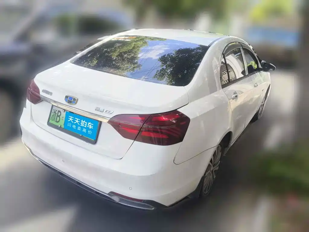Geely Emgrand New Energy 2018 2018 EV450 Progressive