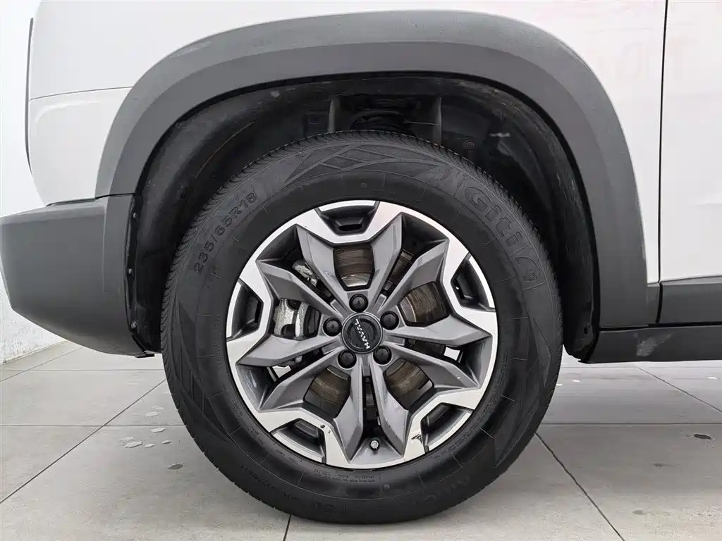 Haval Big Dog 2024 2.0T DCT Chinese Rural Dog Edition фото 17