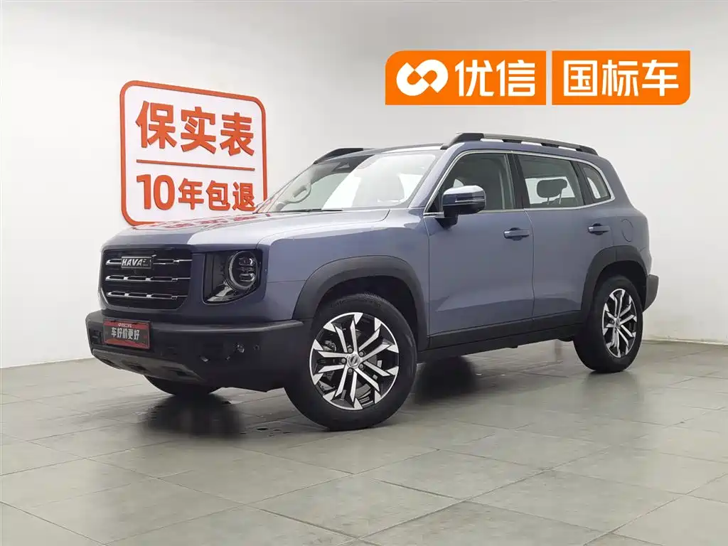 Haval Big Dog 2021 1.5T DCT 2WD Border Collie - Wangcai Edition