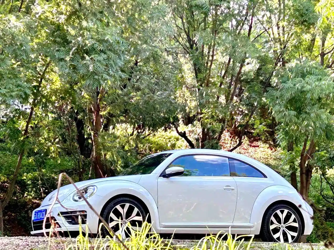 Volkswagen Beetle 2017 180TSI Enjoy фото 4