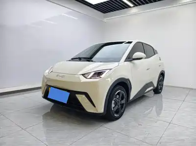 BYD Seagull