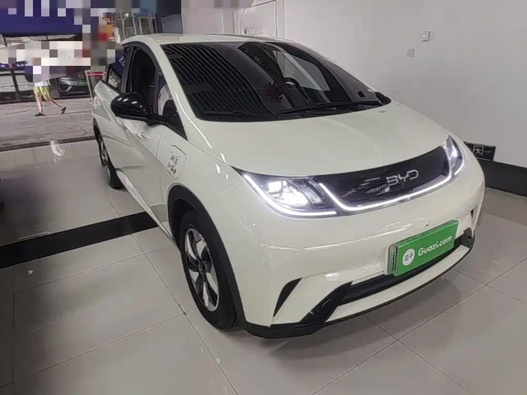 2026 BYD Dolphin