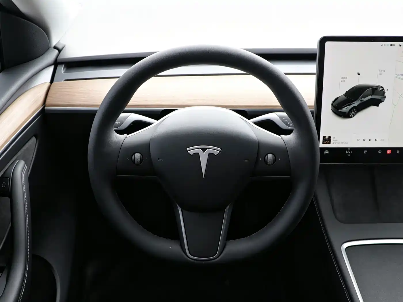 Tesla Model Y 2021 2021 Standard Range Rear-Wheel Drive