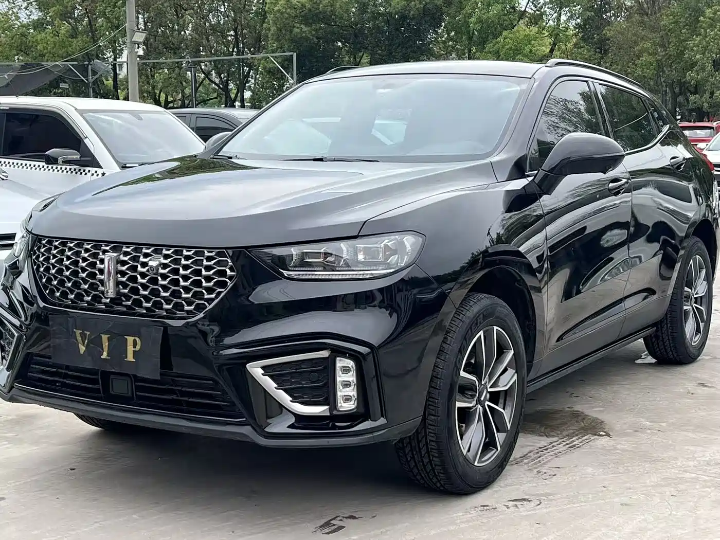 WEI PAI WEI BRAND VV5