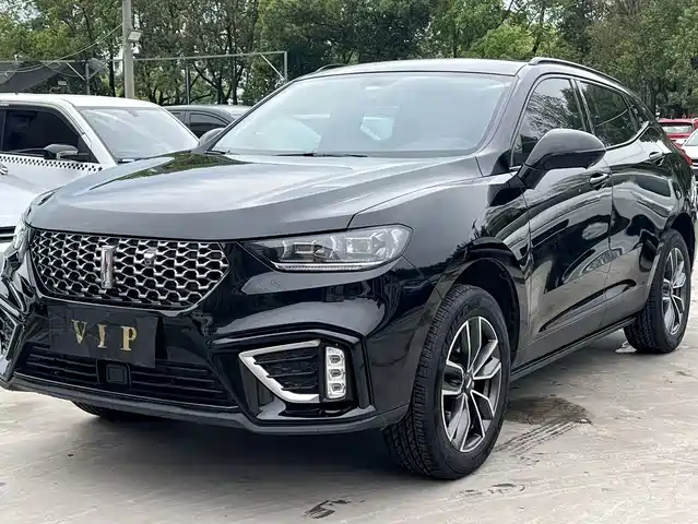 WEI PAI WEI BRAND VV5