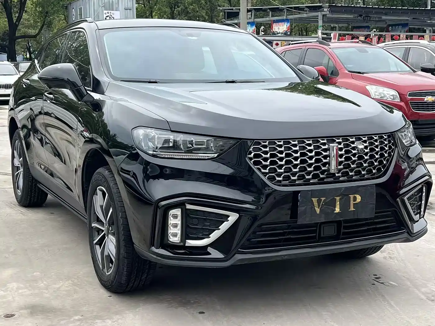 WEI PAI WEI BRAND VV5