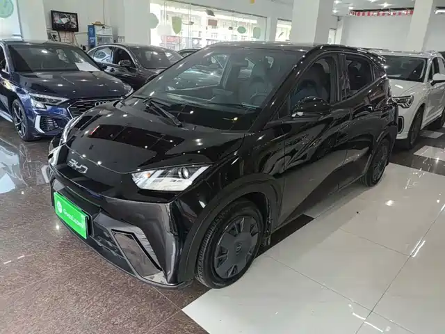 BYD Seagull 305km, Энергия