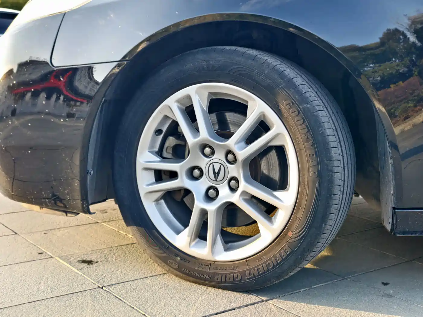 Acura TL 2010 3.5 Premium Edition фото 5