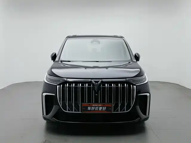 Voyah Auto Voyah Dreamer 2024 PHEV Extended Range Premium Edition — фото 3